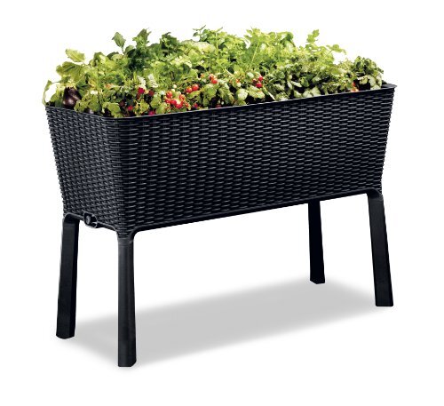 Keter Easy Grow 31 Gallon Elevated Garden Planter with Self-Watering Reservoir